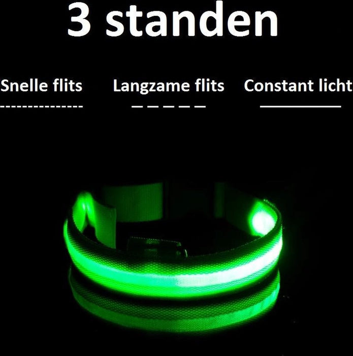 Lichtgevende Halsband LED Maat M 37 - 46 cm Hondenhalsband Puppy Riem