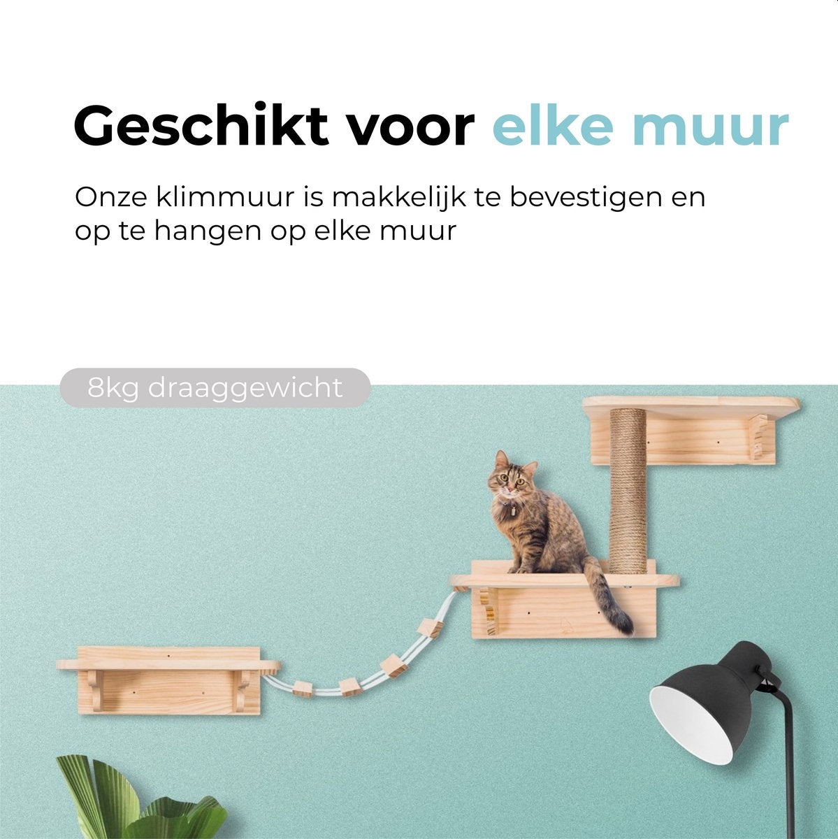 Katten klimmuur - Ladder en krabpaal