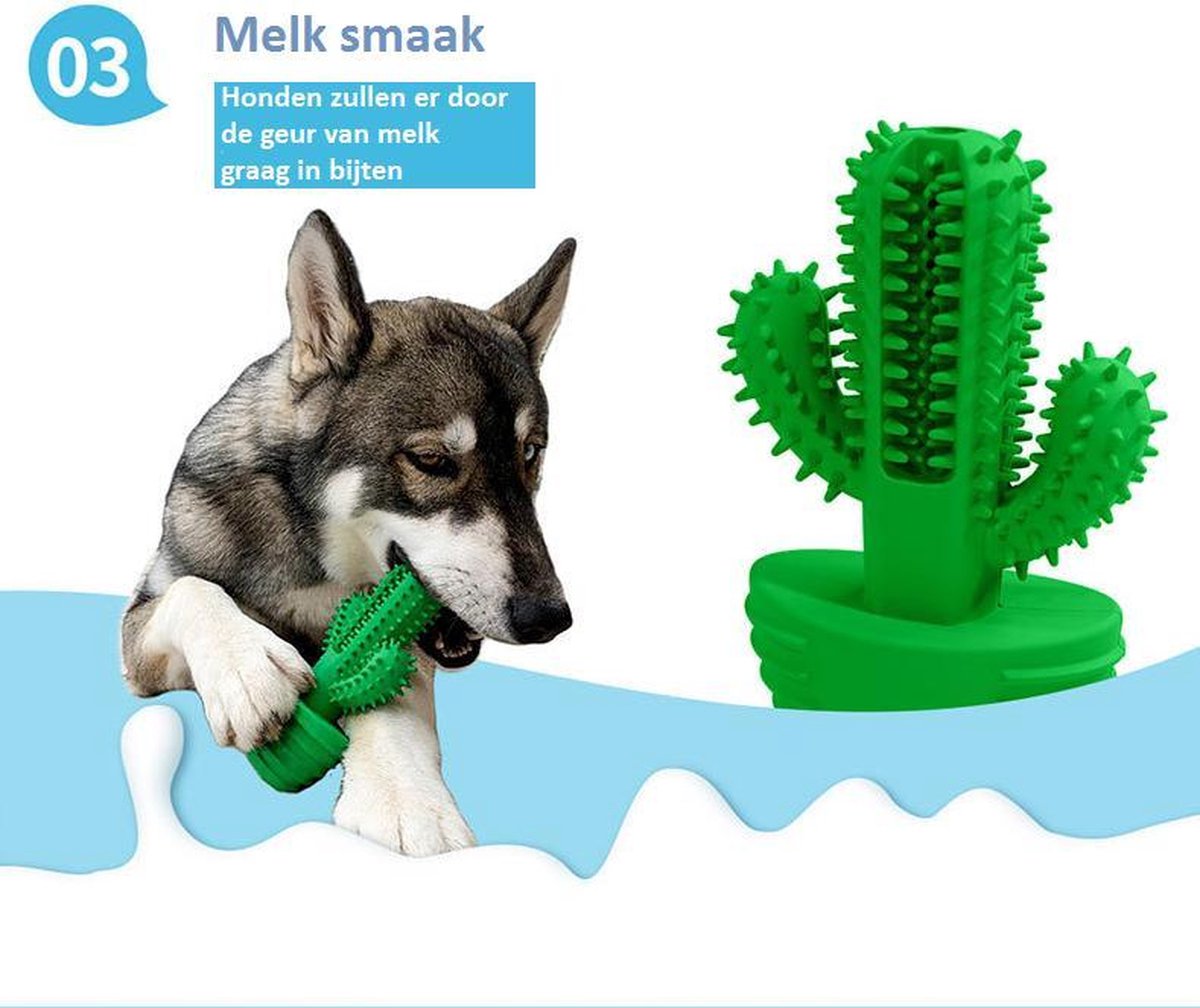Tandenborstel Hond Melk Geur Smaak en Piep Honden Speelgoed Dog Toy - Cactus Kauwbotten Tandverzorging Hondenspeelgoed Hondenbot Kauwstaaf Tanden Puppy Hondenspeeltje Sterk Kauwspeelgoed - Dutchwide
