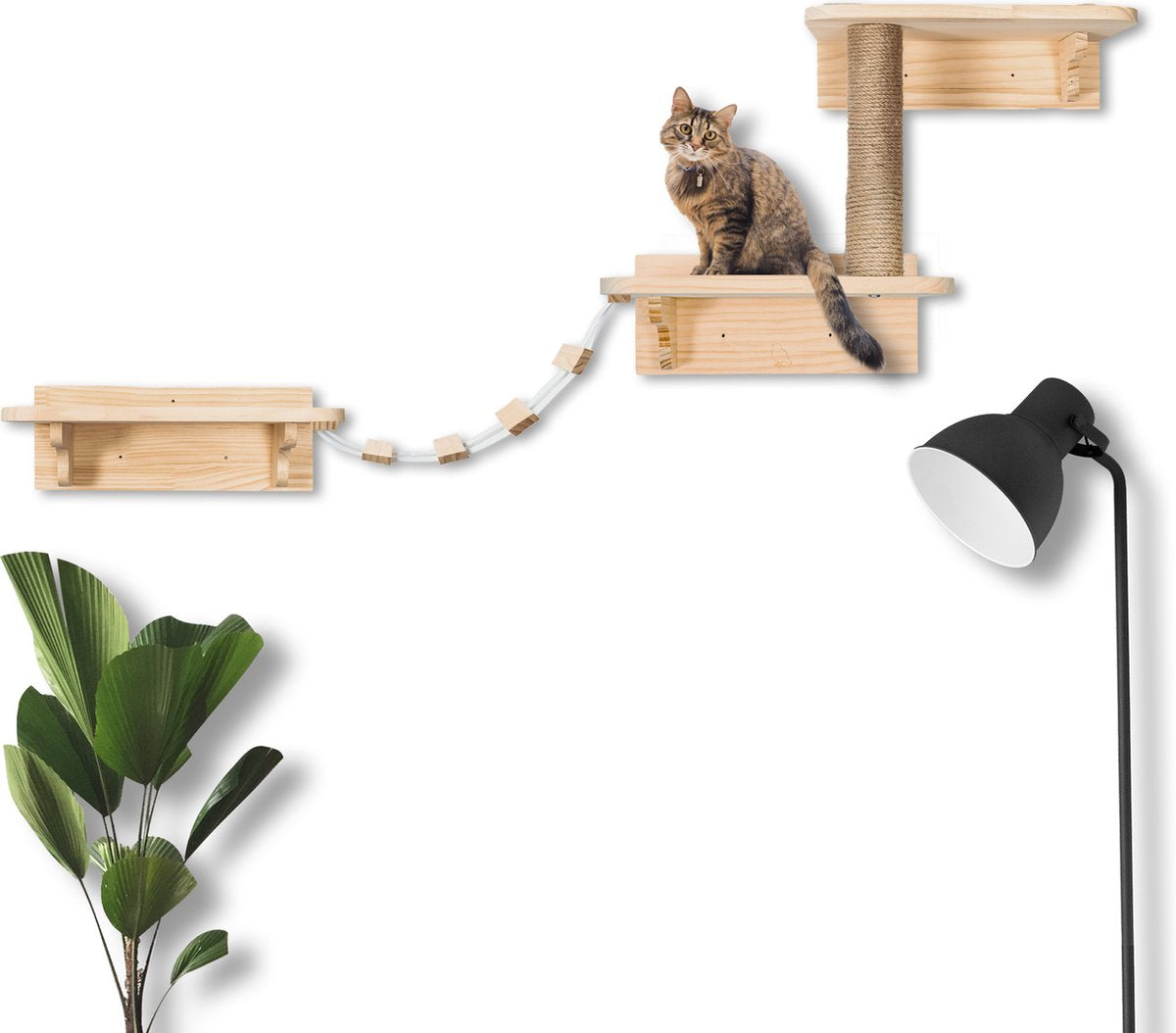Katten klimmuur - Complete set