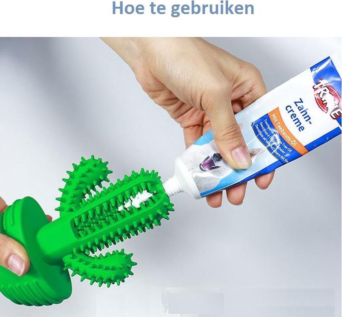 Tandenborstel Hond Melk Geur Smaak en Piep Honden Speelgoed Dog Toy - Cactus Kauwbotten Tandverzorging Hondenspeelgoed Hondenbot Kauwstaaf Tanden Puppy Hondenspeeltje Sterk Kauwspeelgoed - Dutchwide