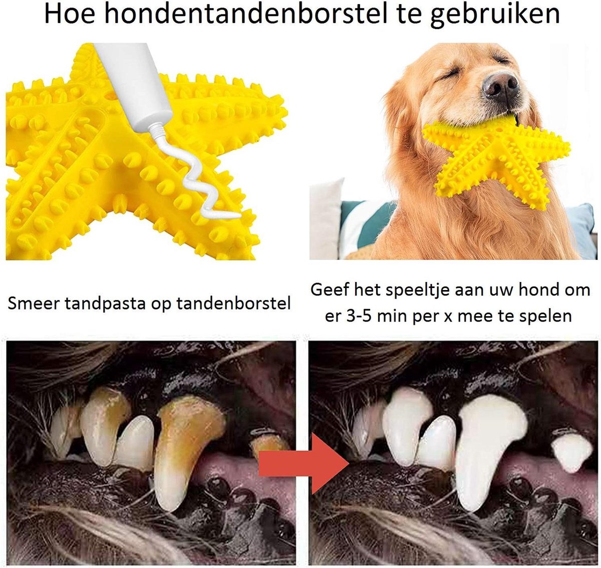 Tandenborstel Hond Piep Honden Speelgoed Dog Toy Tandverzorging - Zeester Geel - Dutchwide