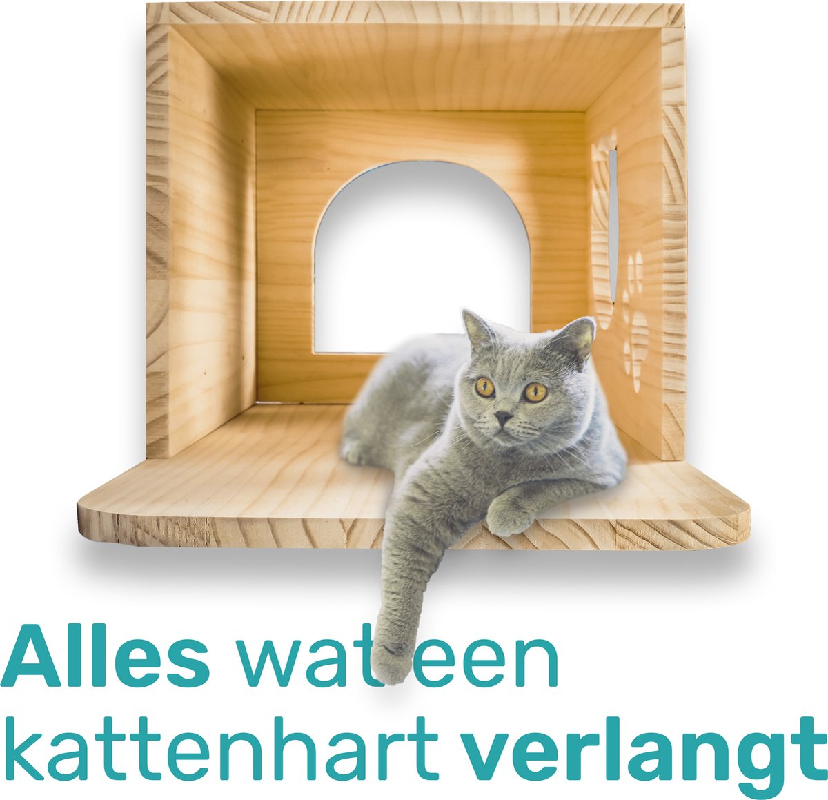 Katten klimmuur - Ladder krabpaal en huisje