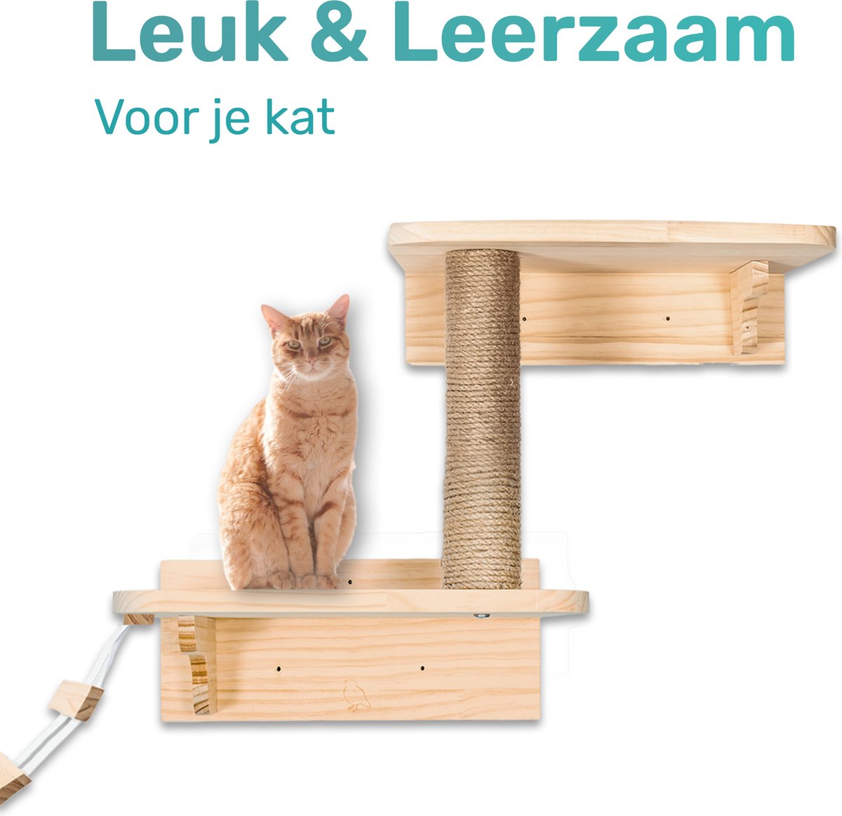 Katten klimmuur - Ladder krabpaal en huisje