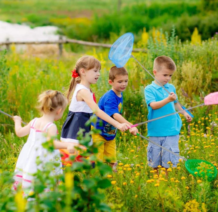 Telescopische Schepnet Visnet Speelgoed Vlinder Insecten Vissen Fish Vis – Blauw Schepnet Vijver Schepnet Zwembad Schepnet Kind Schepnet Kinderen - Dutchwide®