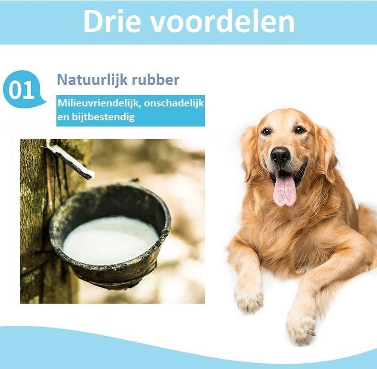 Tandenborstel Hond Melk Geur Smaak en Piep Honden Speelgoed Dog Toy - Cactus Kauwbotten Tandverzorging Hondenspeelgoed Hondenbot Kauwstaaf Tanden Puppy Hondenspeeltje Sterk Kauwspeelgoed - Dutchwide