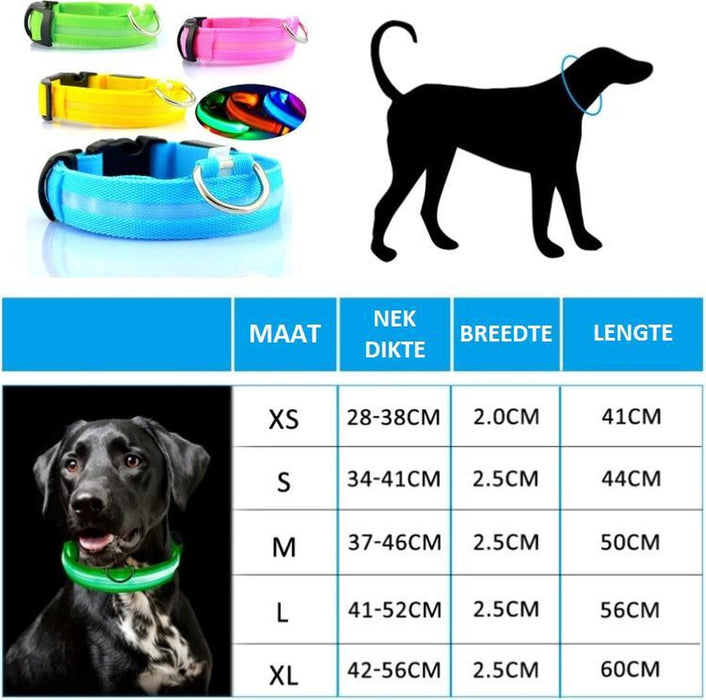 Lichtgevende Halsband LED Maat M 37 - 46 cm Hondenhalsband Puppy Riem