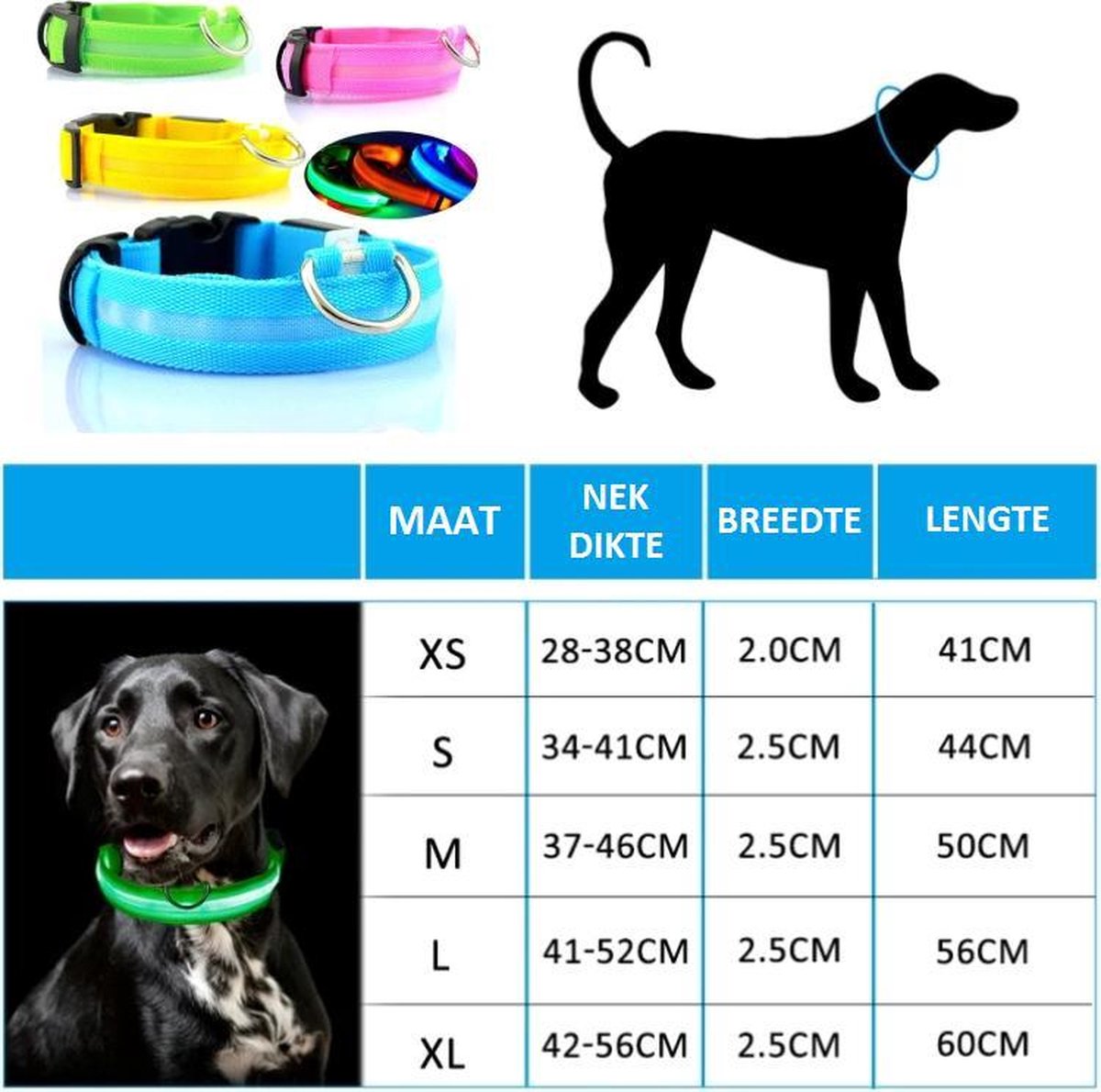Lichtgevende Halsband LED Maat XL 42 - 56 cm USB Oplaadbaar Hondenhalsband Puppy Riem - Blauw Hond Dog Kat Kitten Cat - Dutchwide