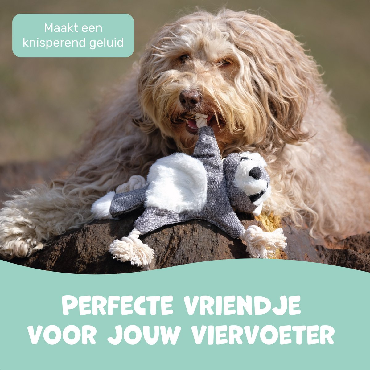 Dutchwide Hondenspeeltje - Wasbeer - Met Kraak en Piep - Honden - Speelgoed - Knuffel - Intelligentie - Tennisbal - Dog Toy - Hond - Speeltjes