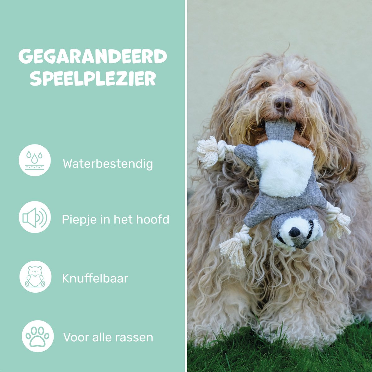 Dutchwide Hondenspeeltje - Wasbeer - Met Kraak en Piep - Honden - Speelgoed - Knuffel - Intelligentie - Tennisbal - Dog Toy - Hond - Speeltjes