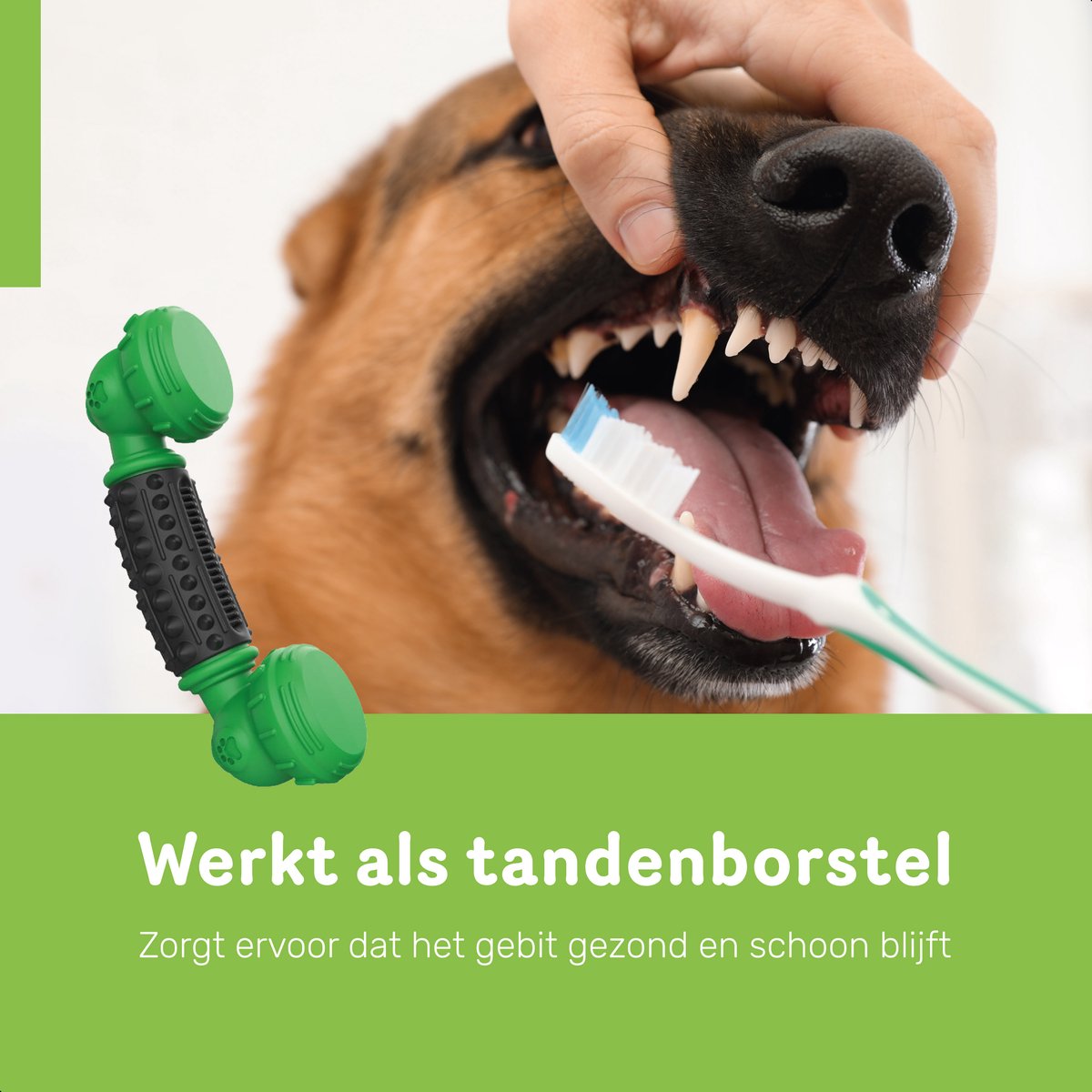 Dutchwide Kauwbot Telefoon - Honden - Tandenborstel - Gebitsverzorging - Hond - Honden Speelgoed - Bot - Tandsteen verwijderaar - Tandpasta - Mondwater hond