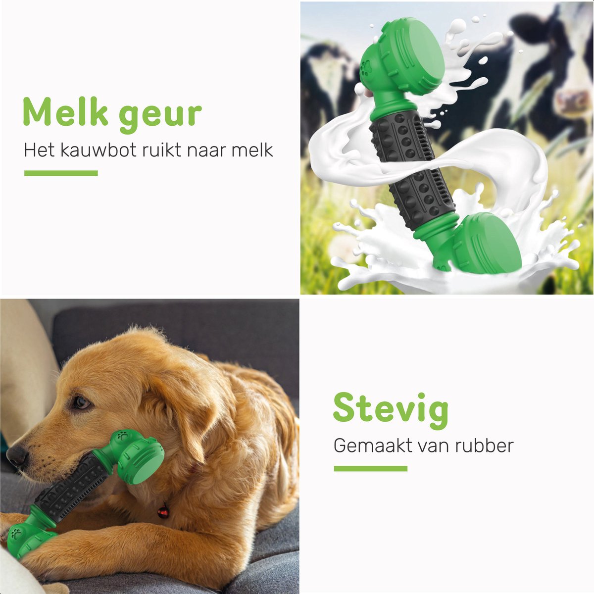 Dutchwide Kauwbot Telefoon - Honden - Tandenborstel - Gebitsverzorging - Hond - Honden Speelgoed - Bot - Tandsteen verwijderaar - Tandpasta - Mondwater hond