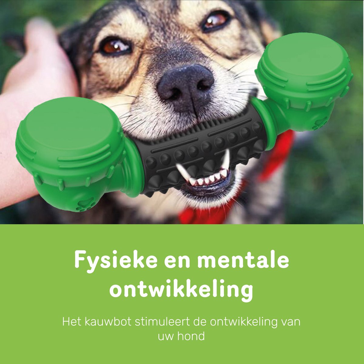 Dutchwide Kauwbot Telefoon - Honden - Tandenborstel - Gebitsverzorging - Hond - Honden Speelgoed - Bot - Tandsteen verwijderaar - Tandpasta - Mondwater hond
