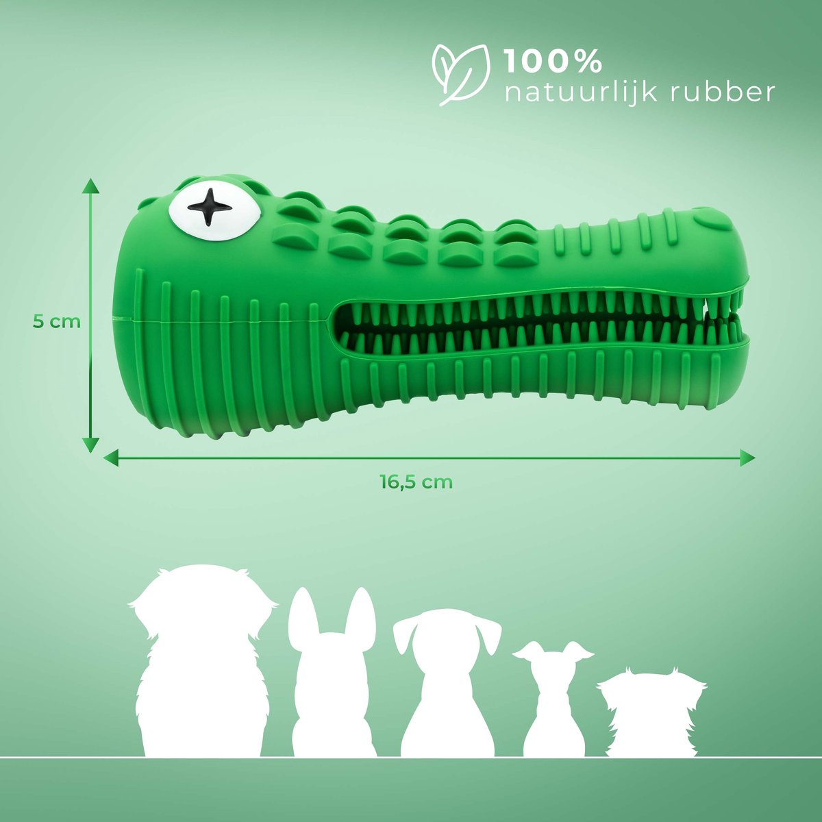 Dutchwide Tandenborstel Hond Melk Geur Smaak en Piep Honden Speelgoed Dog Toy - Krokodil Groen