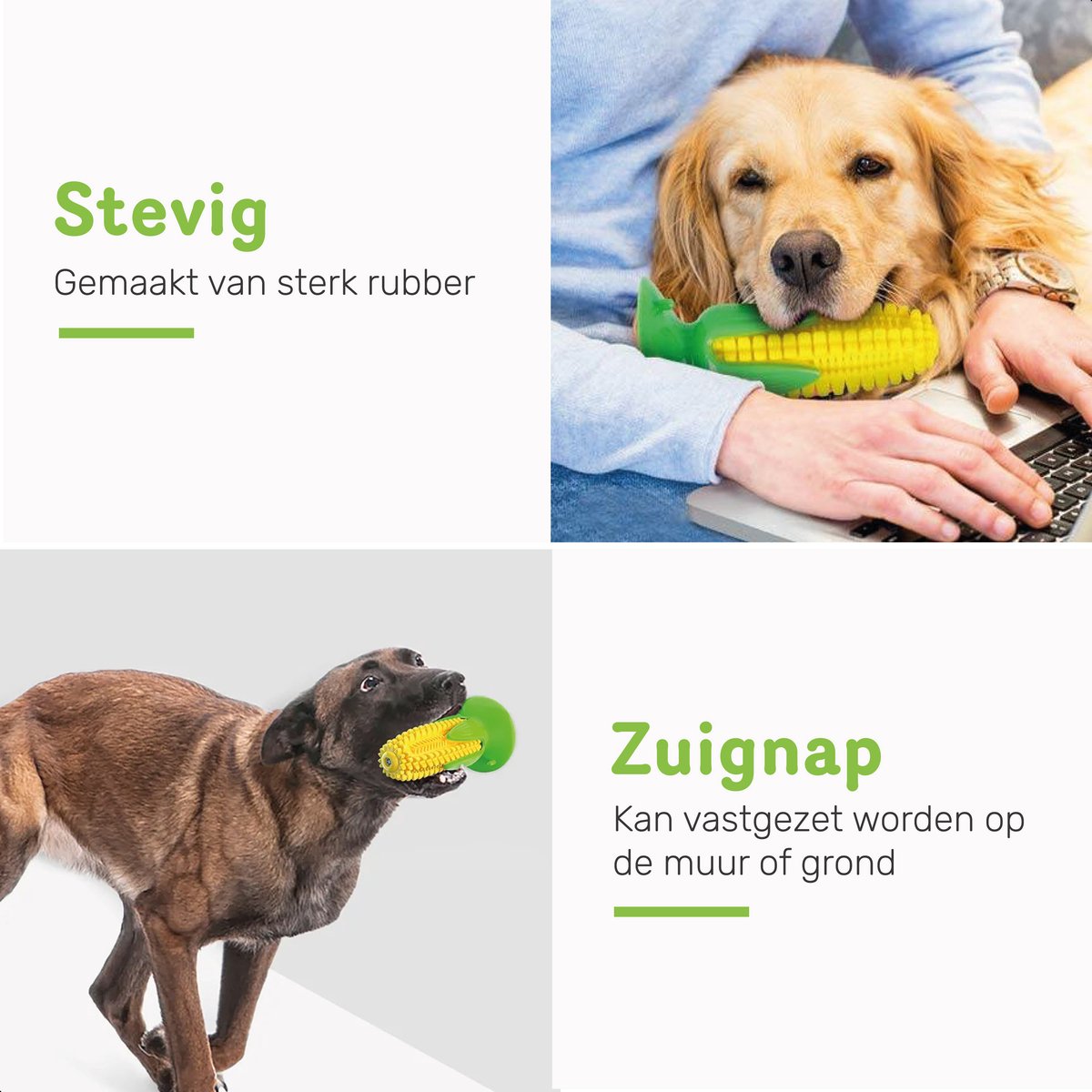 Dutchwide Tandverzorging - Honden - Tandenborstel - Gebitsverzorging - Hond - Speelgoed - Tandsteen verwijderaar - Tandpasta - Mondwater hond