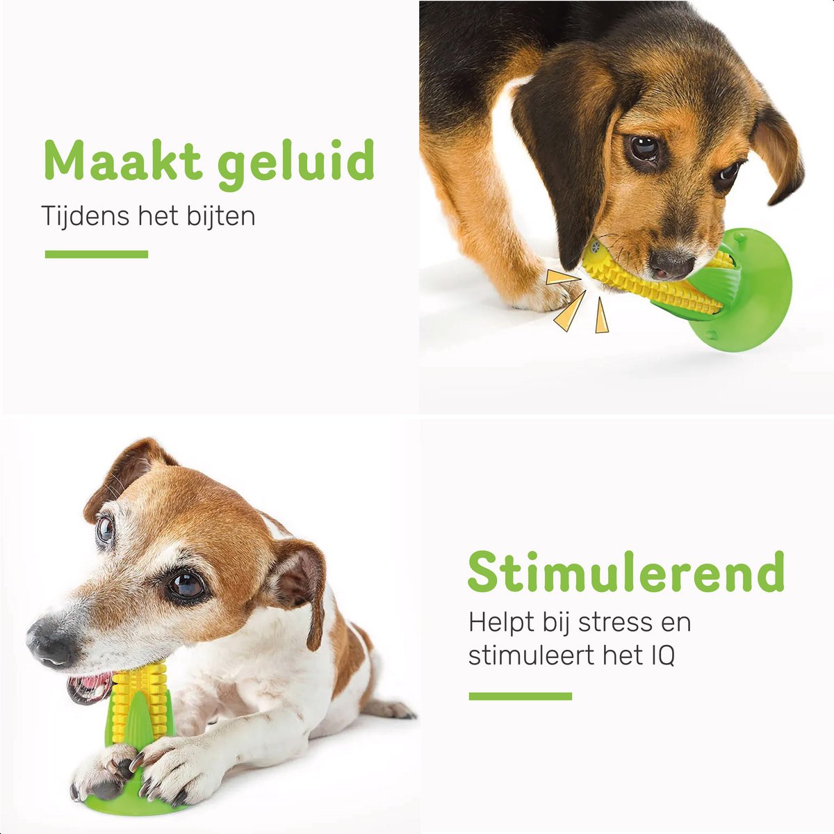 Dutchwide Tandverzorging - Honden - Tandenborstel - Gebitsverzorging - Hond - Speelgoed - Tandsteen verwijderaar - Tandpasta - Mondwater hond
