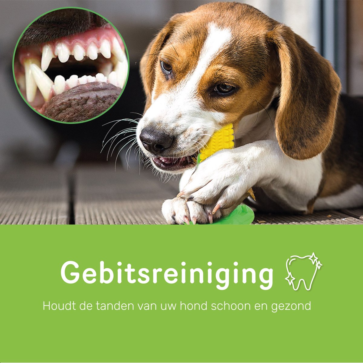 Dutchwide Tandverzorging - Honden - Tandenborstel - Gebitsverzorging - Hond - Speelgoed - Tandsteen verwijderaar - Tandpasta - Mondwater hond