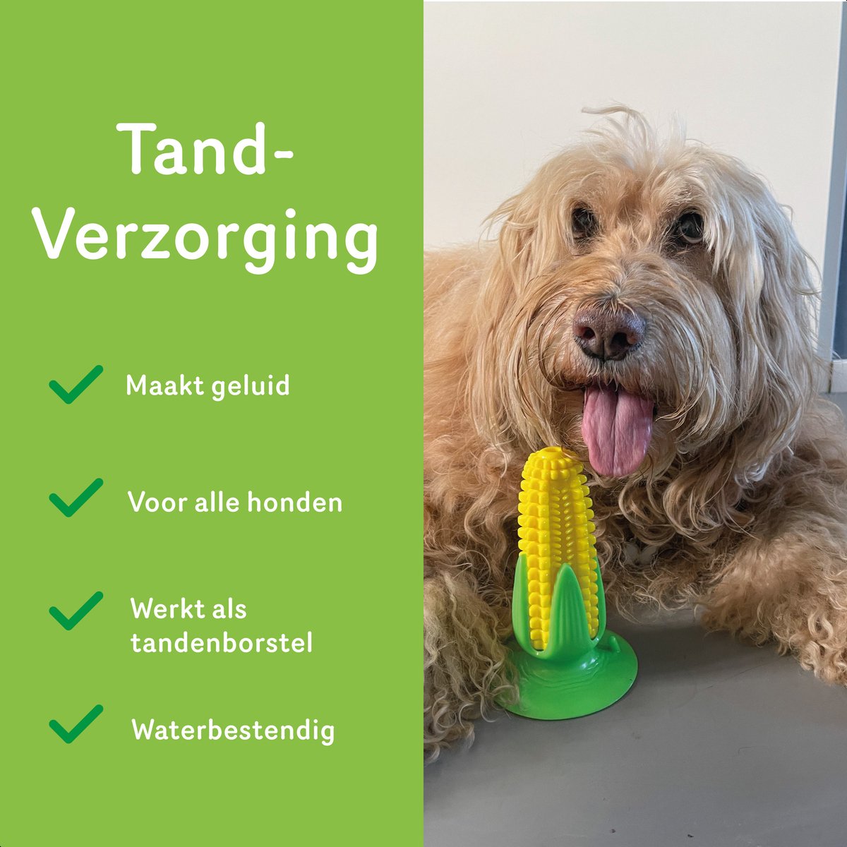 Dutchwide Tandverzorging - Honden - Tandenborstel - Gebitsverzorging - Hond - Speelgoed - Tandsteen verwijderaar - Tandpasta - Mondwater hond
