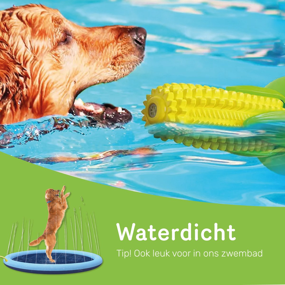Dutchwide Tandverzorging - Honden - Tandenborstel - Gebitsverzorging - Hond - Speelgoed - Tandsteen verwijderaar - Tandpasta - Mondwater hond