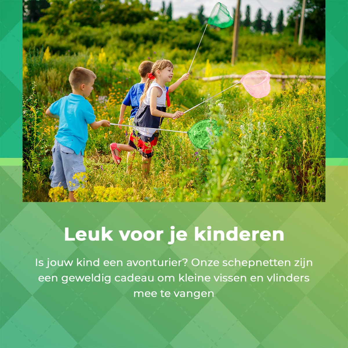 Dutchwide Uitschuifbaar Schepnet Kind - Visnet - Zwembad Net - Vijvernet - Schepnetje - Visnetje - Vlindernet - Donker Groen