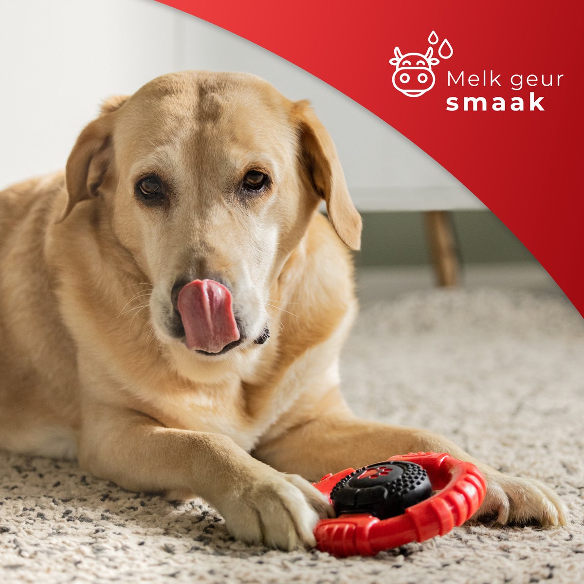 Kauwbot Stuurwiel - Met Piep - Onverwoestbaar - Melk Geur Smaak - Honden Speelgoed - Tandverzorging - Kauwspeelgoed - Bot - Hond