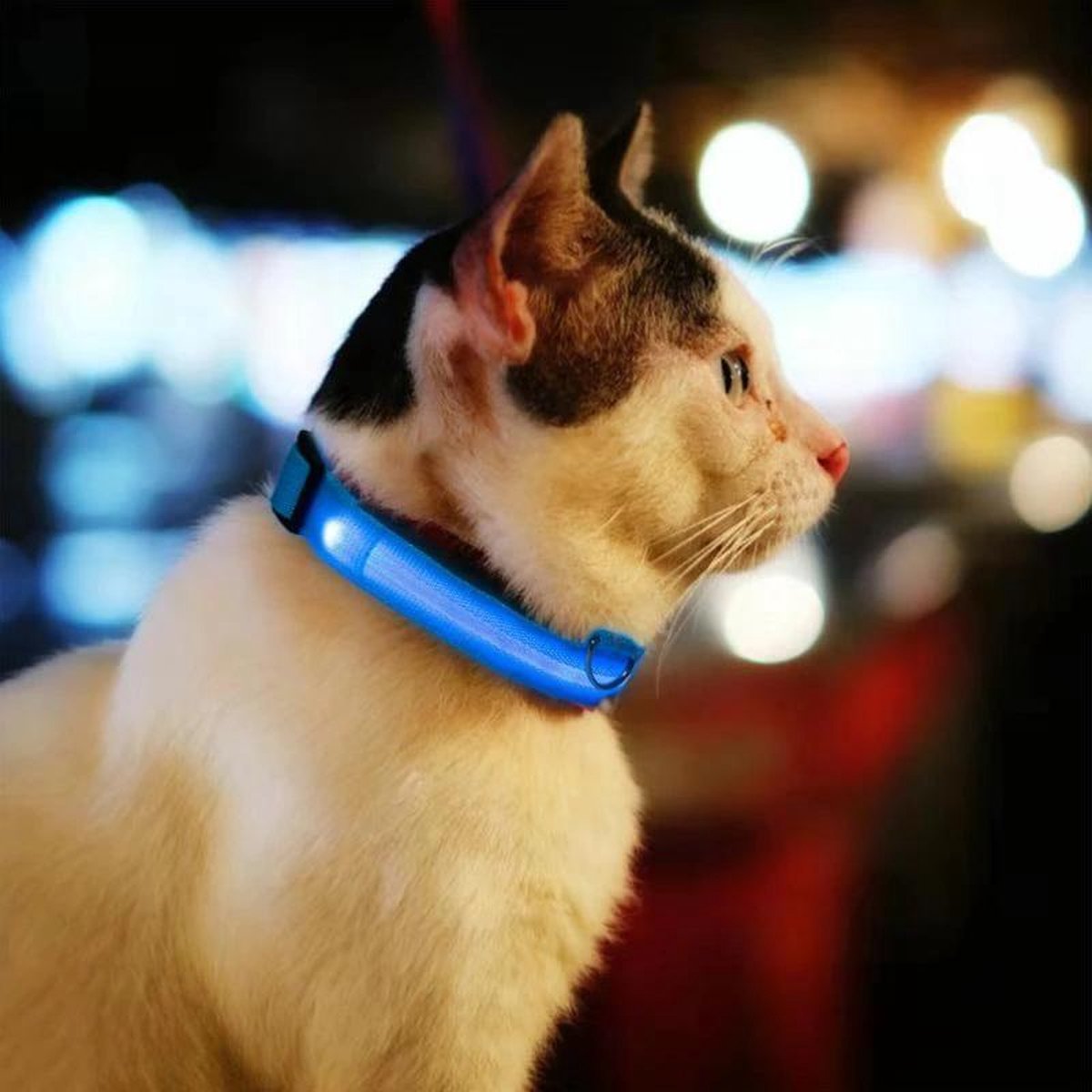 Lichtgevende Halsband LED Maat XL 42 - 56 cm USB Oplaadbaar Hondenhalsband Puppy Riem - Blauw Hond Dog Kat Kitten Cat - Dutchwide