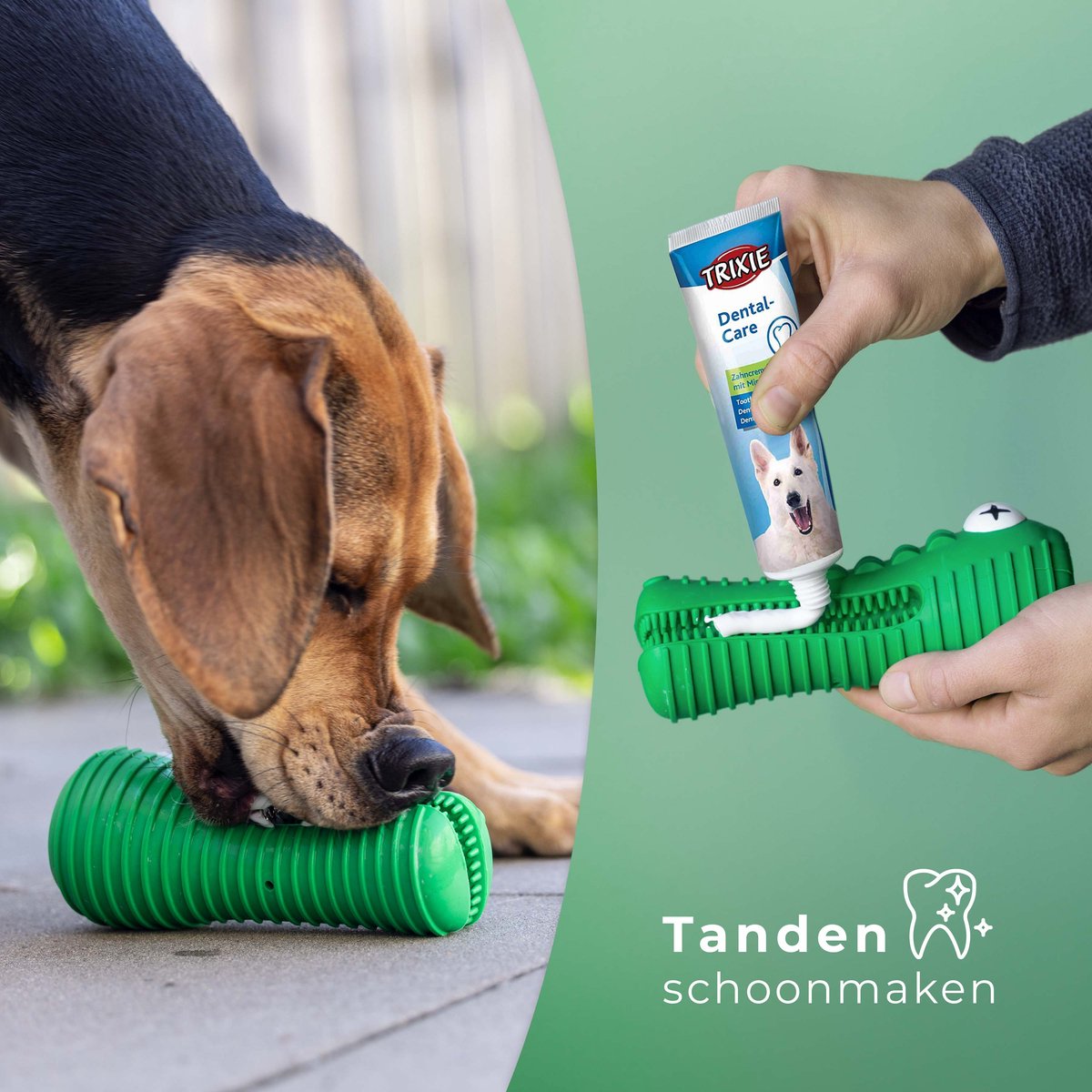 Tandenborstel (+TANDPASTA) Hond Melk Geur Smaak en Piep Honden Speelgoed - Krokodil Groen - Dutchwide