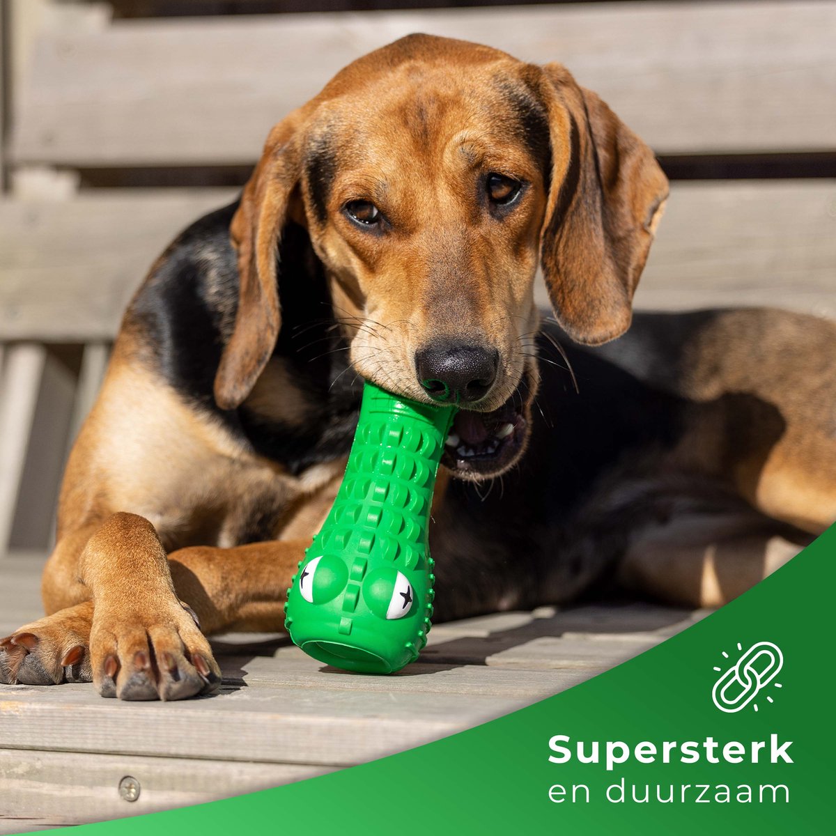 Tandenborstel Gebitsreiniging Hond Melk Geur Smaak en Piep Krokodil - Groen - Dutchwide