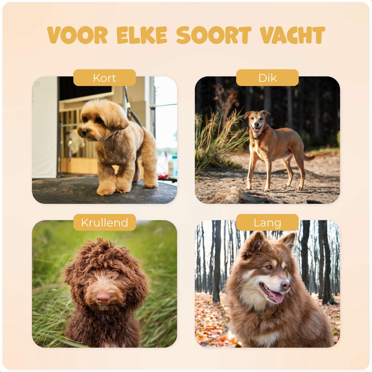 Dutchwide Hondentondeuse - Incl. 4 opzet stukken