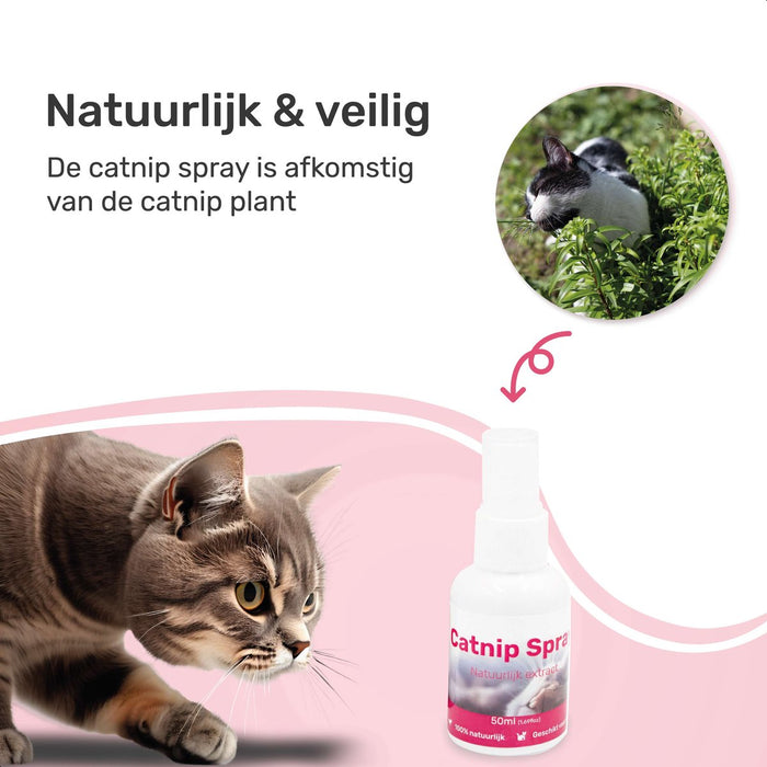 2 Pack Catnip Spray - 100% natuurlijk