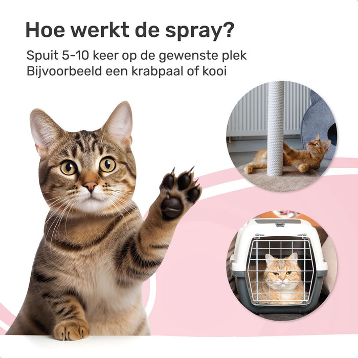 2 Pack Catnip Spray - 100% natuurlijk