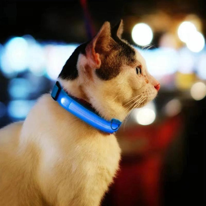 Lichtgevende Halsband LED Maat M 37 - 46 cm Hondenhalsband Puppy Riem