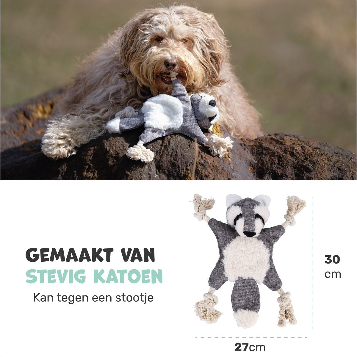 Dutchwide Hondenspeeltje - Wasbeer - Met Kraak en Piep - Honden - Speelgoed - Knuffel - Intelligentie - Tennisbal - Dog Toy - Hond - Speeltjes