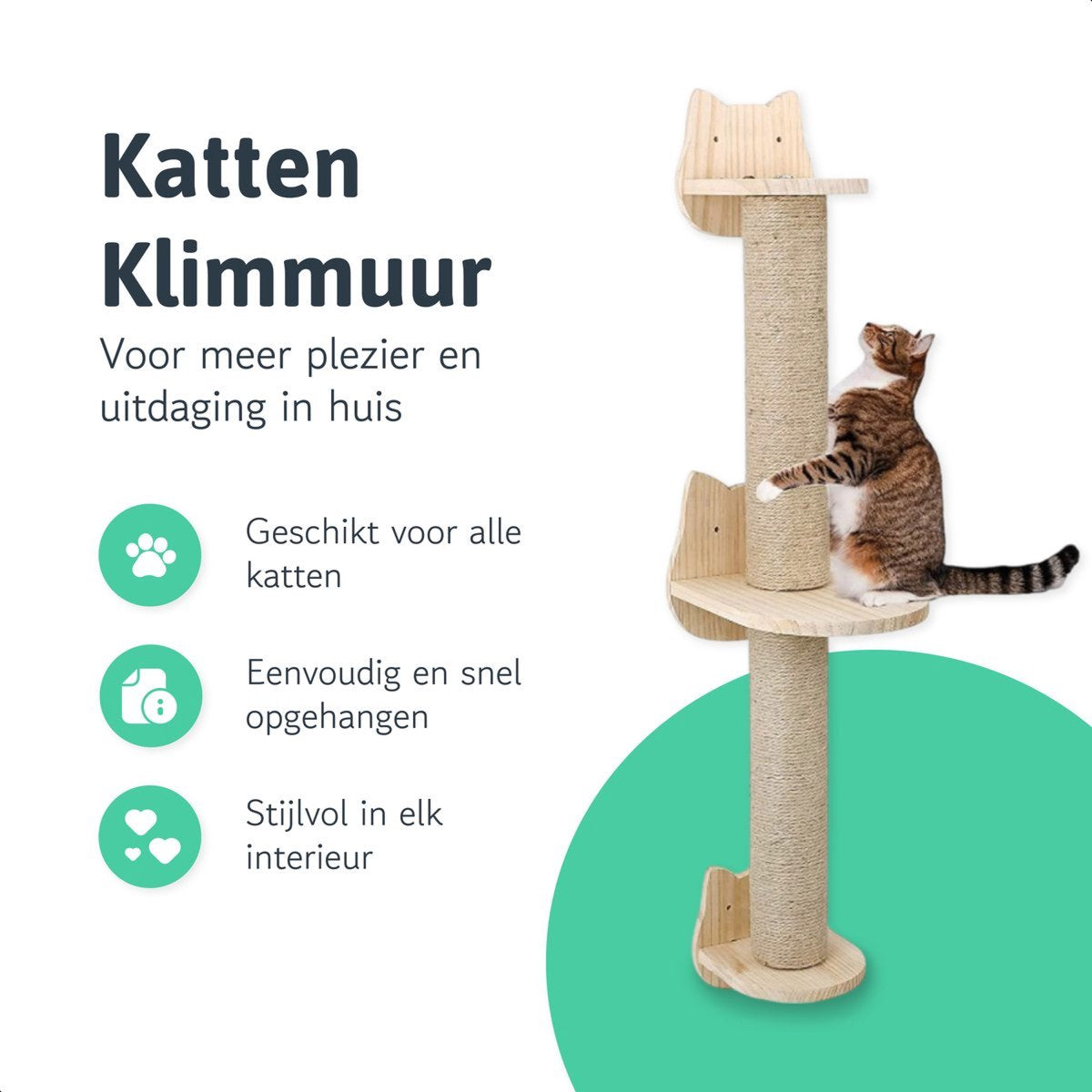 Katten klimmuur - Krabpaal - 2 Plateaus