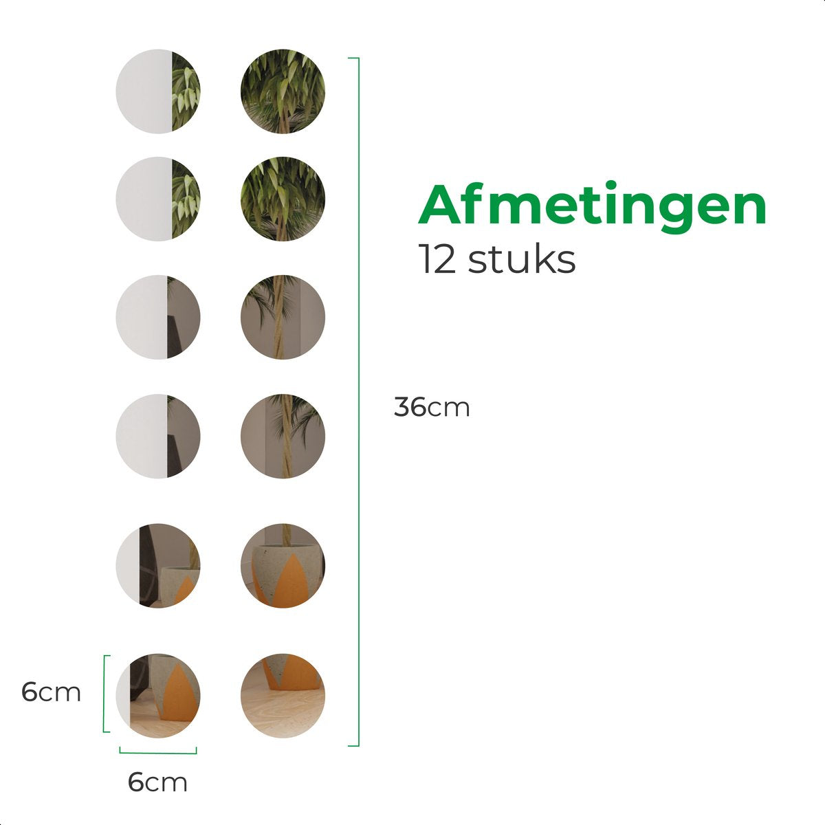 Plakspiegel - 12 stuks - Rond - Zelfklevende