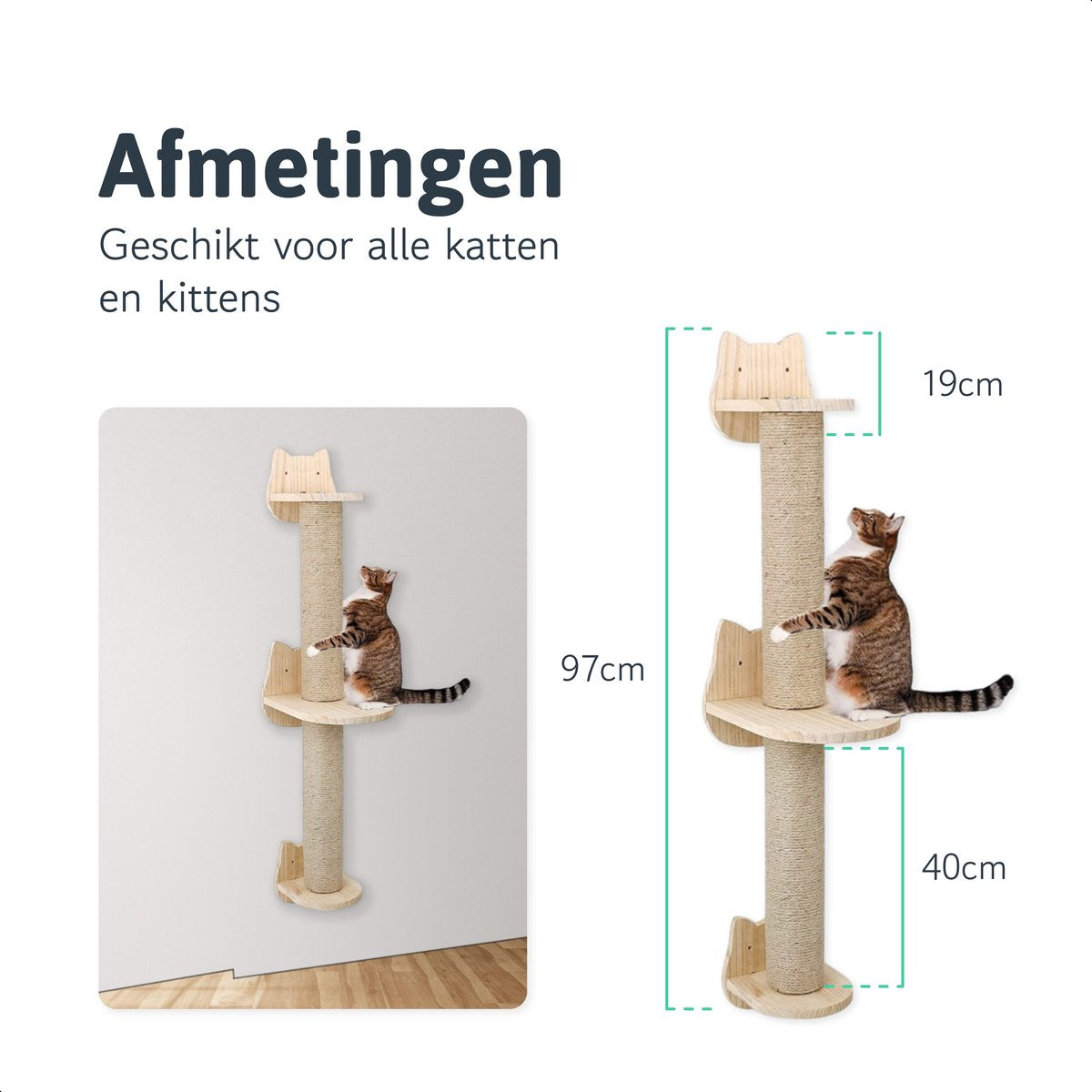 Katten klimmuur - Krabpaal - 2 Plateaus