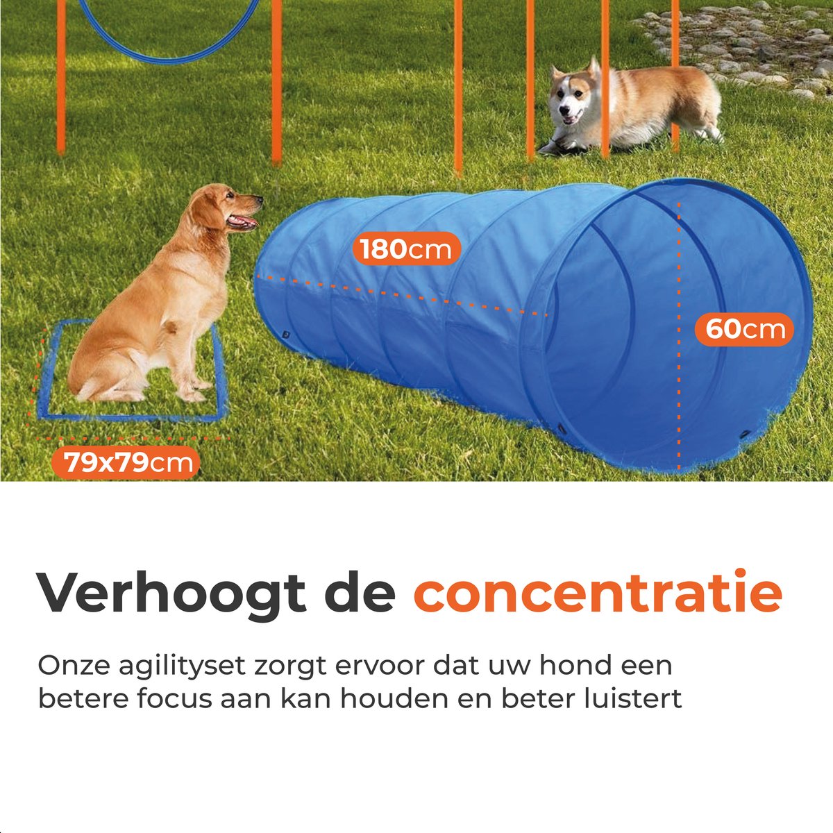 Complete agility set voor de hond