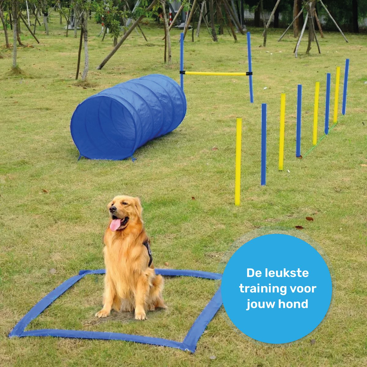 Agility set voor de hond - 16 delig