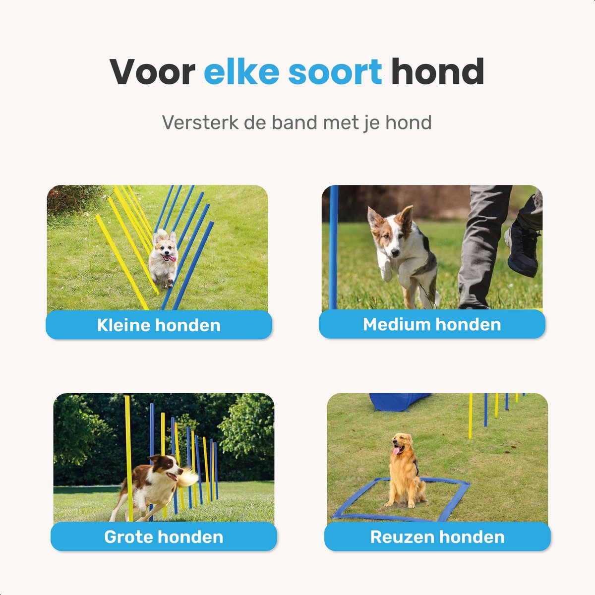 Agility set voor de hond - 16 delig