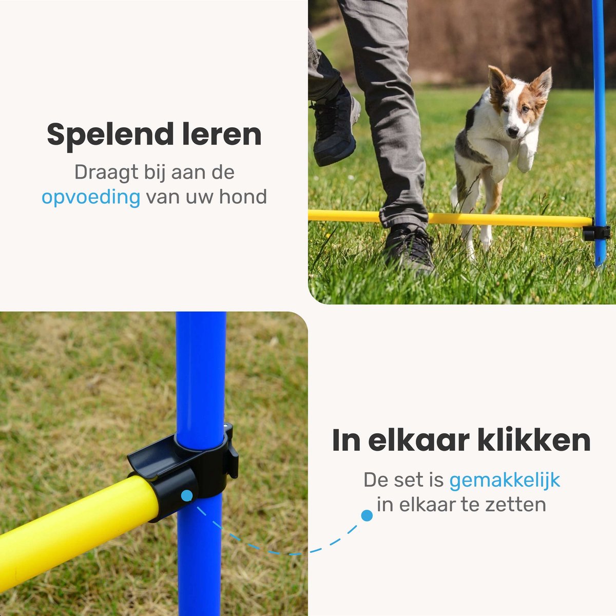 Agility set voor de hond - 16 delig