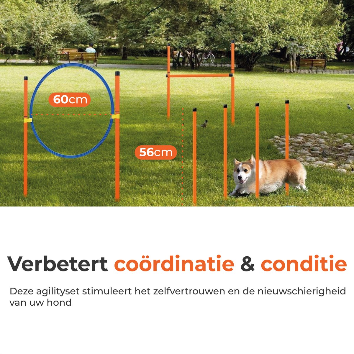 Complete agility set voor de hond