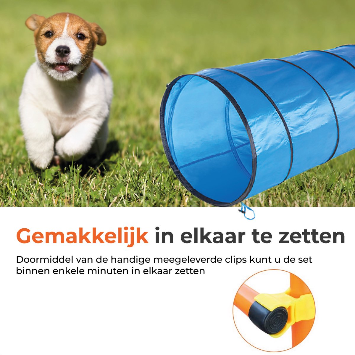 Complete agility set voor de hond
