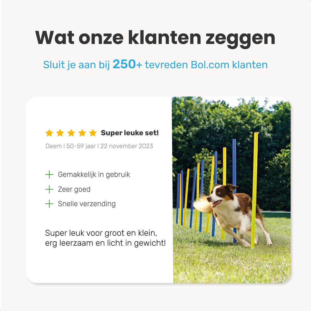 Agility set voor de hond - 16 delig