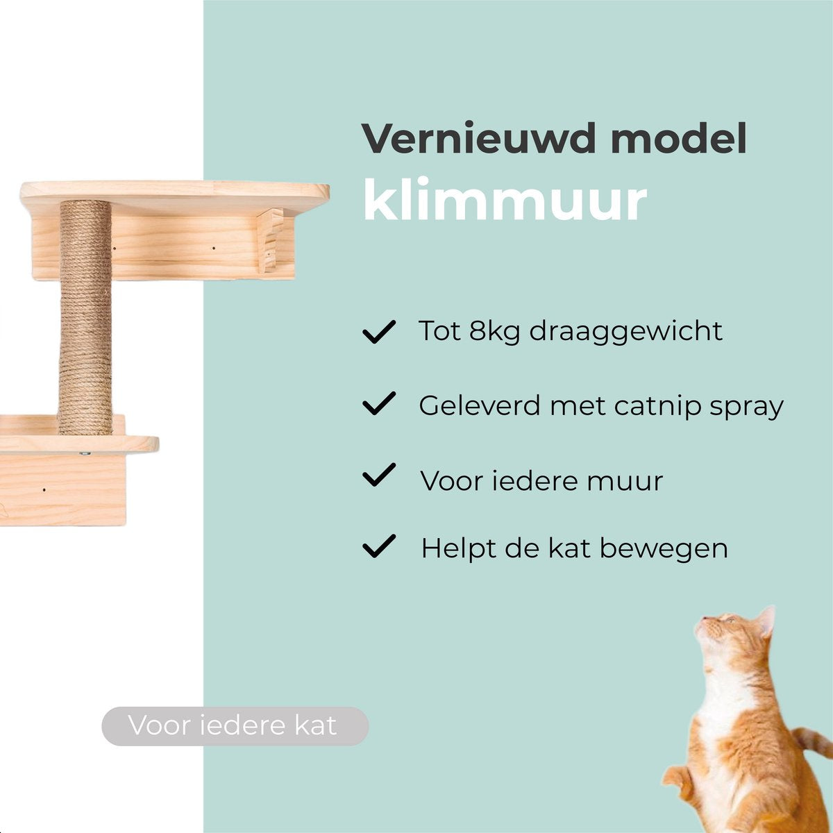 Katten klimmuur - Ladder en krabpaal