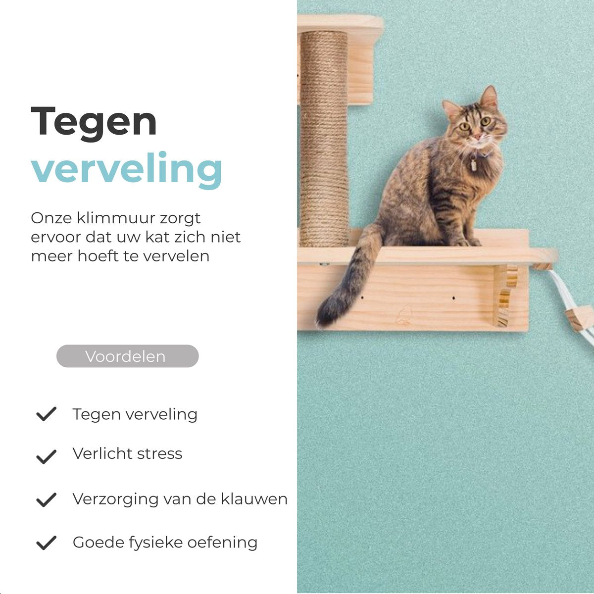 Katten klimmuur - Ladder en krabpaal
