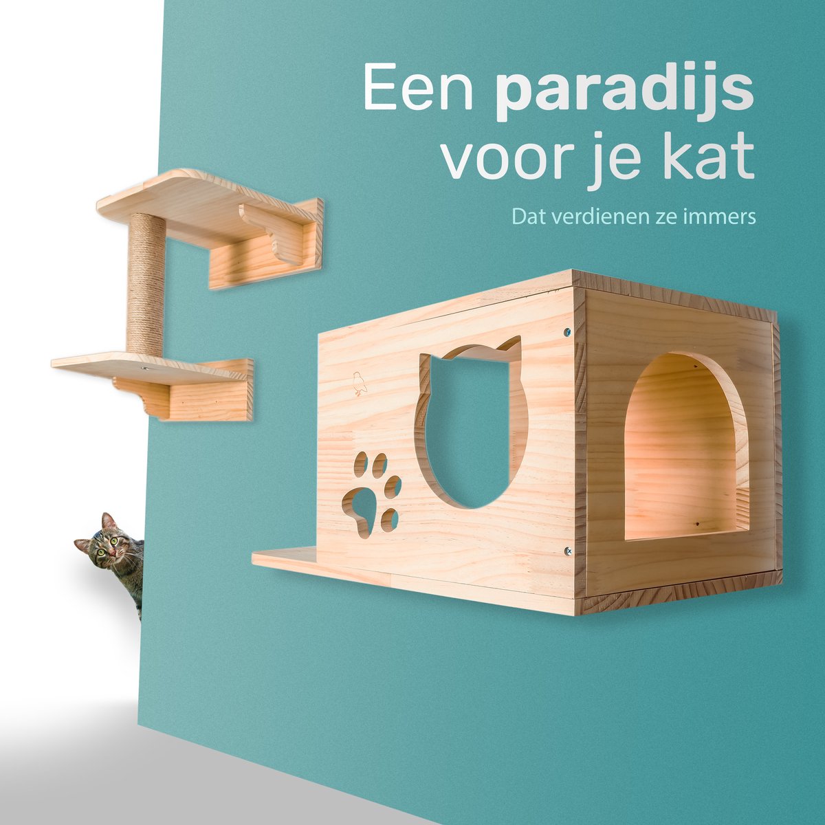 Katten klimmuur - Ladder krabpaal en huisje