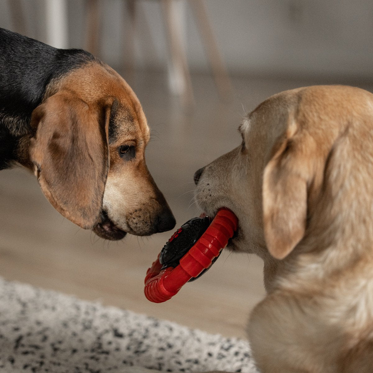 Dutchwide - Kauwbot Stuurwiel - Met Piep - Onverwoestbaar - Melk Geur Smaak - Honden Speelgoed - Tandverzorging - Kauwspeelgoed - Bot - Hond