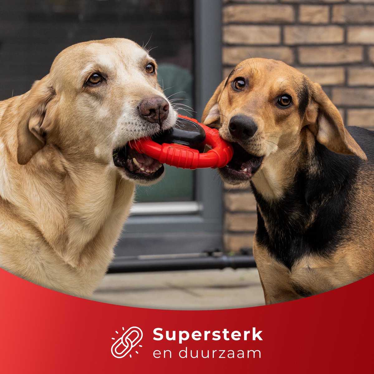 Dutchwide - Kauwbot Stuurwiel - Met Piep - Onverwoestbaar - Melk Geur Smaak - Honden Speelgoed - Tandverzorging - Kauwspeelgoed - Bot - Hond