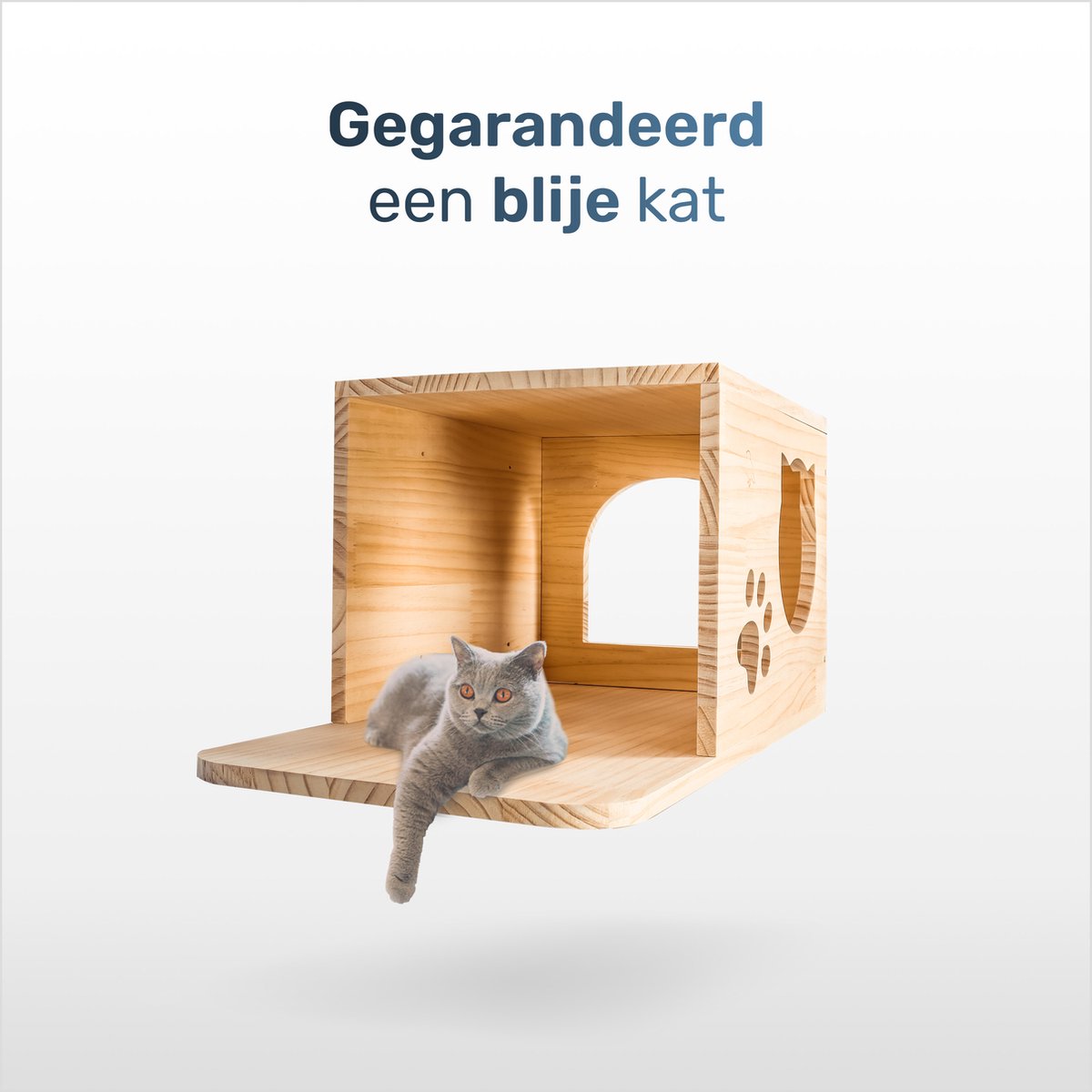Katten klimmuur - Complete set