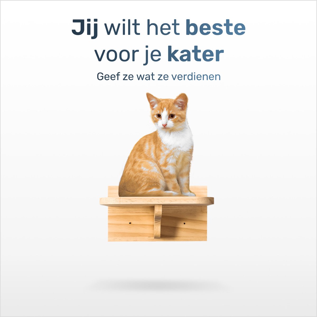 Katten klimmuur - Complete set